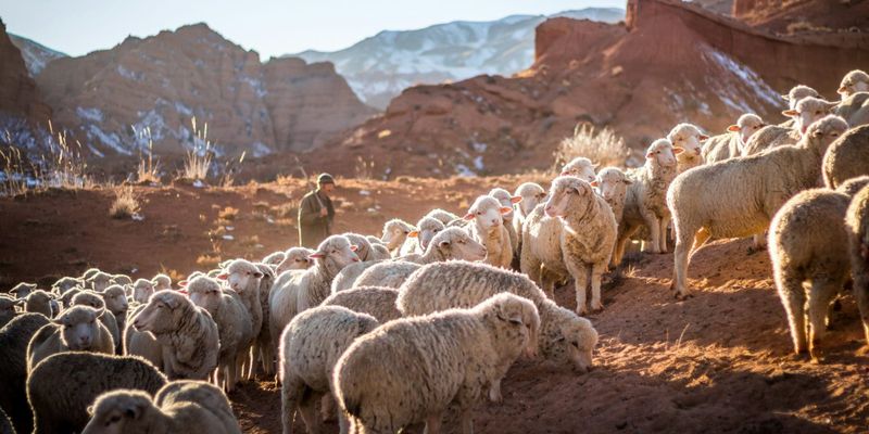 пограничный режим КР 2026, выпас скота на границе правила, Баткенская область граница допуск, Пограничная служба, айыл окмоту списки фермеров