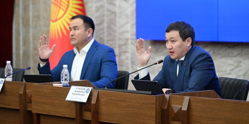 В ЖК предложили создать в Кыргызстане отдельное агентство по защите лесов