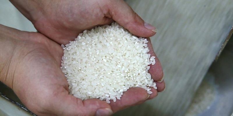 Партия риса из Казахстана, возвращенная на КПП «Чалдыбар»