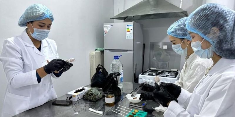 Как заработать на куруте и талкане: чему учат бизнес на юге КР по проекту ОСОП изображение публикации