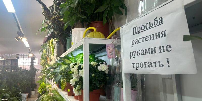 В агроаптеках и цветочных магазинах Каракола выявлены нарушения требований закона изображение публикации