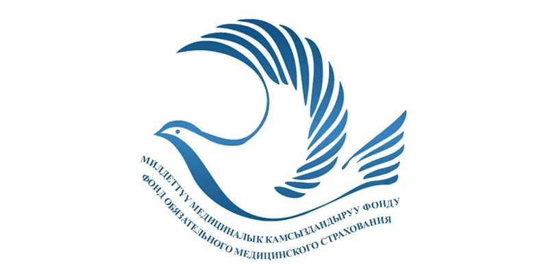 Бюджет ФОМС Кыргызстана на 2027 год составит 12.8 млрд сомов изображение публикации