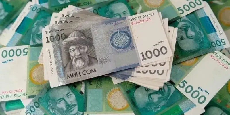Профицит бюджета Кыргызстана к 2030 году может превысить 103 млрд сомов изображение публикации