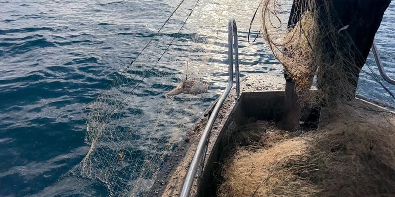 На Иссык-Куле за три дня очистили акваторию от 3.2 км сетей изображение публикации