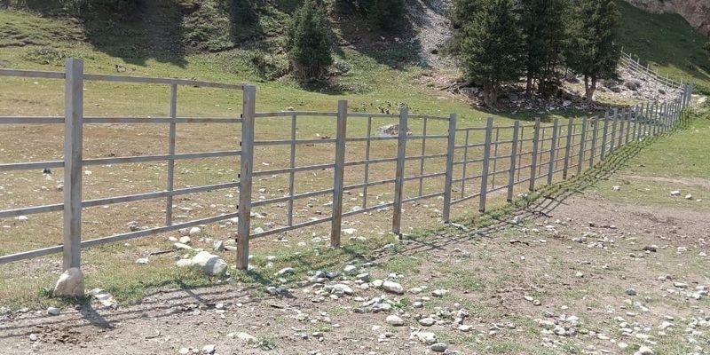 Чтобы скот не вышел на посевы: в Нарынской области открыли контрольный пост изображение публикации