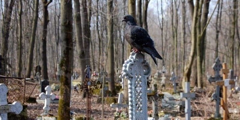 В КР за самовольные захоронения и раскопку могил предлагают до трех лет лишения свободы изображение публикации