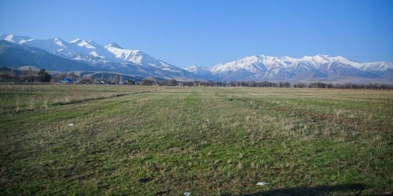 В Аламудунском районе 7.17 га лесфонда отдадут под логистический комплекс изображение публикации
