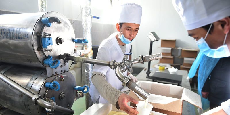 В Кыргызстане численность рабочей силы в 2025 году достигла 2.9 млн человек изображение публикации