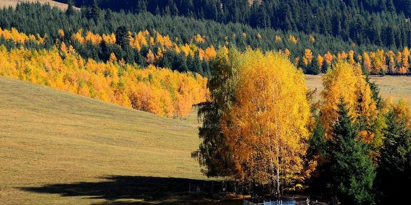 Минприроды Кыргызстана предлагает новые правила учета лесов и охотугодий изображение публикации