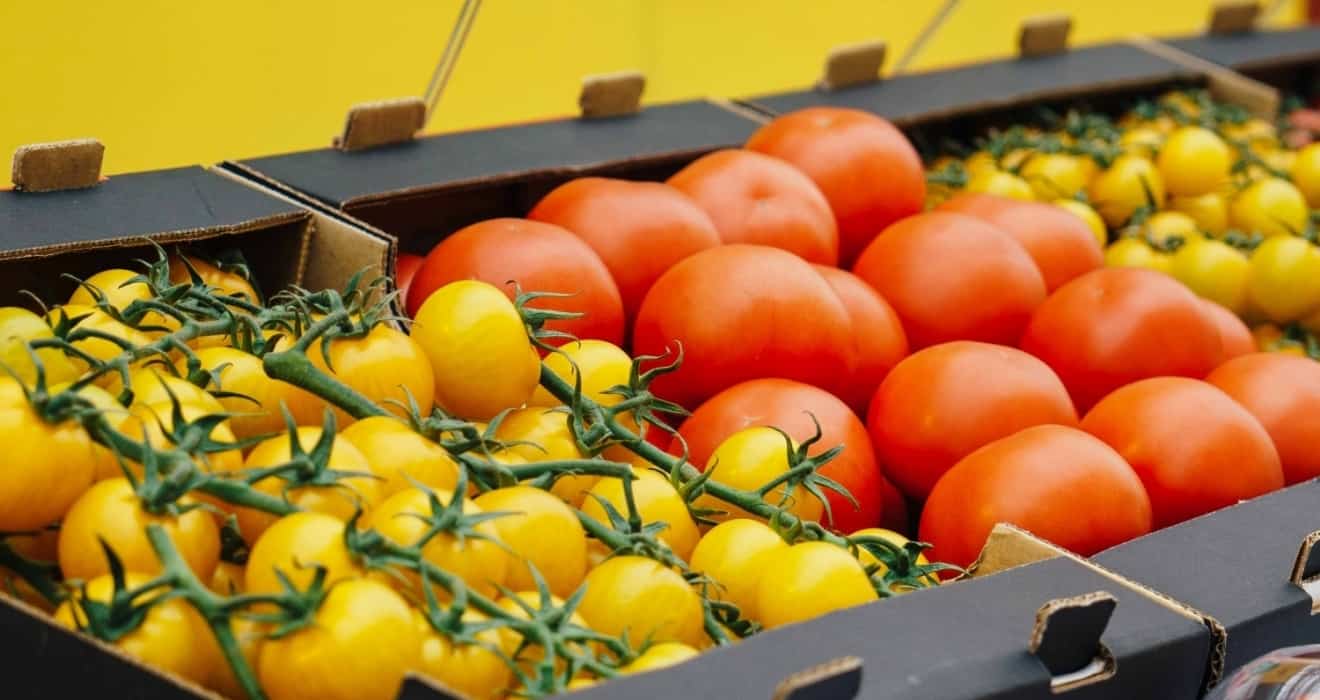 Кыргызстан на четверть увеличил поставки сельхозпродукции в Китай, – президент