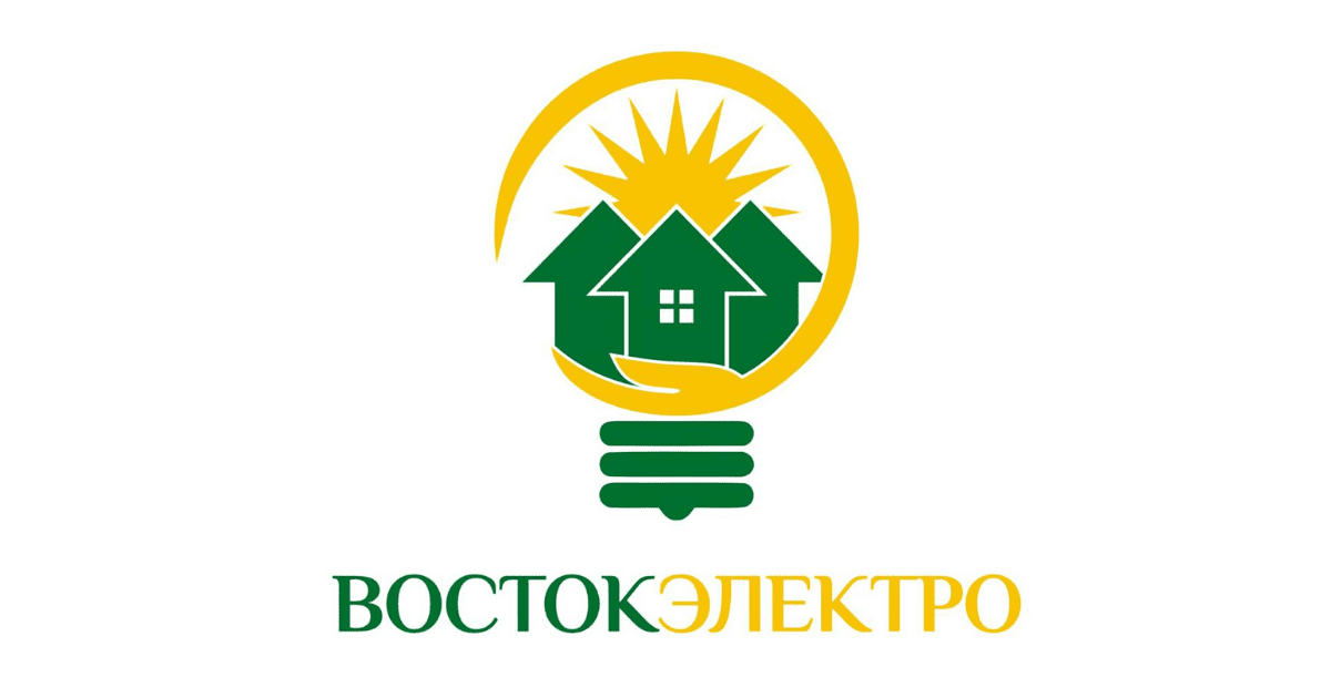 Счетная палата обнаружила многомиллионные нарушения в «Востокэлектро»