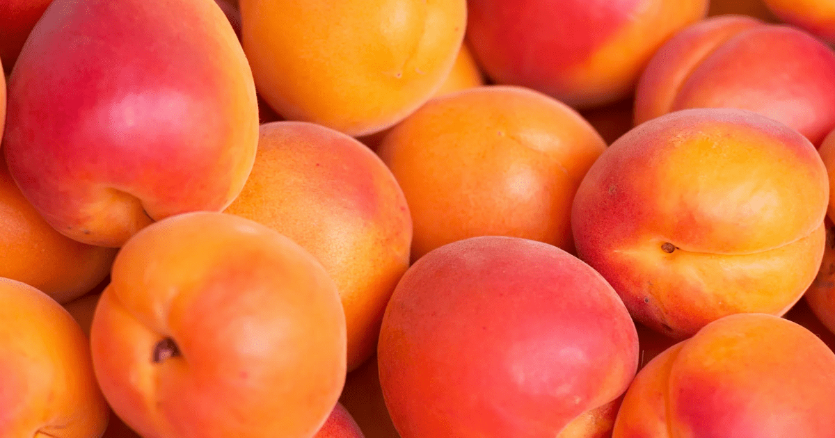 После пандемии в Баткенской области поставят логистический центр по переработке абрикосов