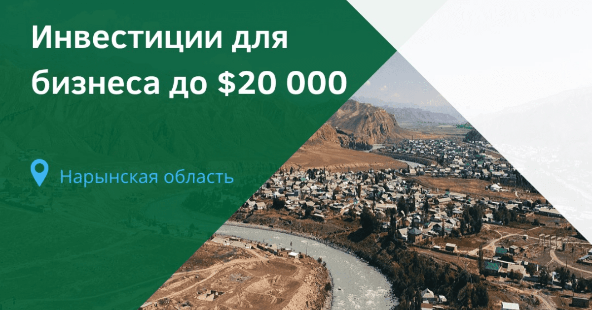 Нарынские компании могут получить до $20 тысяч инвестиций от Фонда Ага-Хана