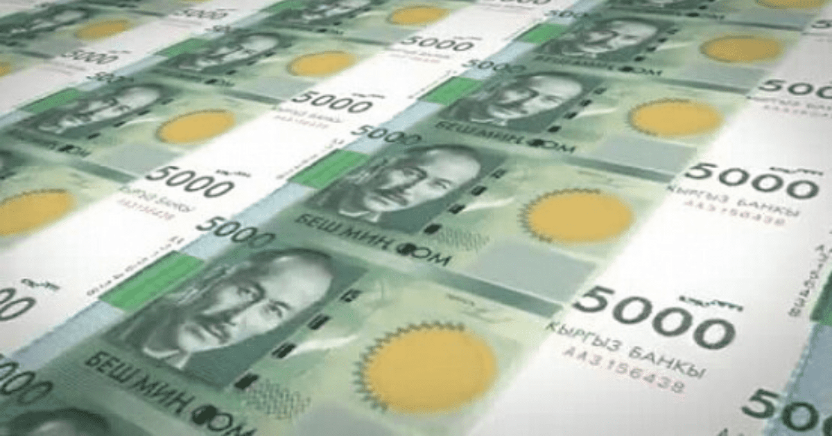 Чистая прибыль компаний с госучастием превысила 11 млрд сомов