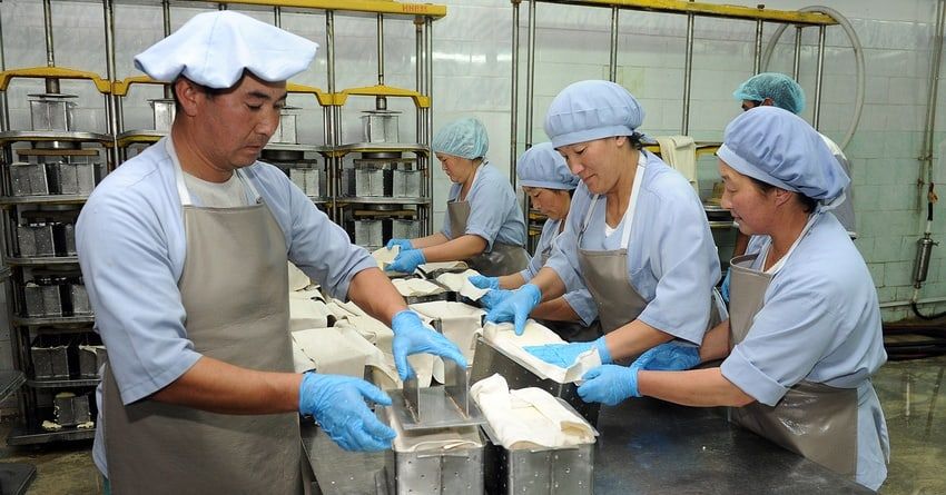 Гарантийная поддержка предпринимателей позволила создать 3 тысячи рабочих мест — «Гарантийный фонд»