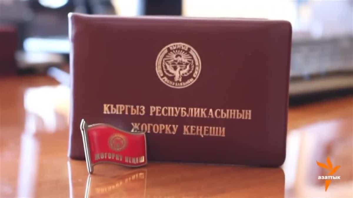 Я могу стать депутатом? А мне дадут машину с водителем? Все о требованиях к депутатам и их привилегиях