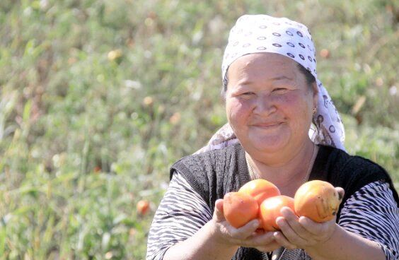 USAID выделит $15 млн на развитие сельхозпредприятий в южных регионах Кыргызстана