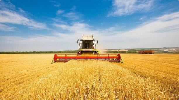 Власти дополнительно выделили 4.4 млрд сомов на финансирование сельского хозяйства