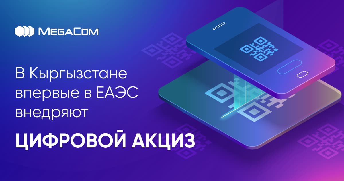 В Кыргызстане впервые в ЕАЭС внедряют цифровой акциз