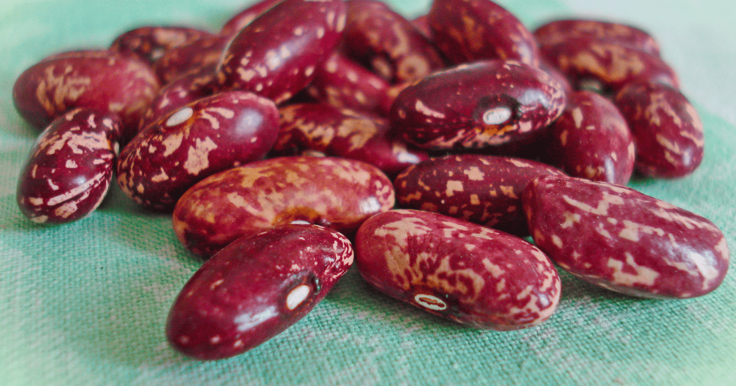 Торговля между КР и Арменией в этом году оживилась за счет экспорта фасоли