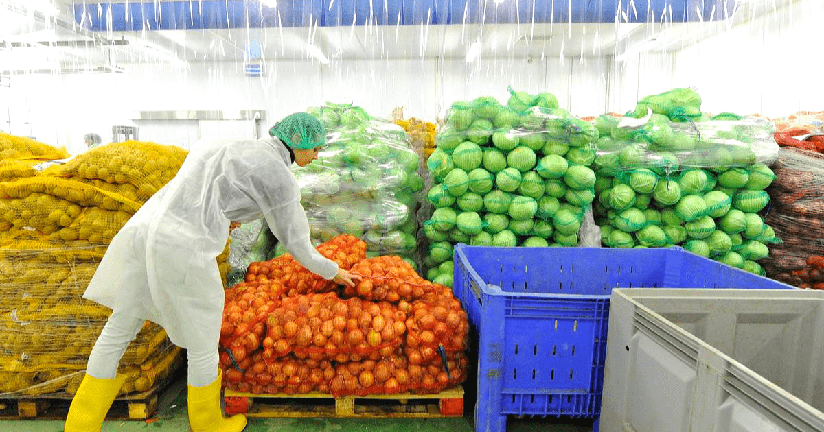 Работа по электронным накладным физически невозможна – фермеры просят отменить это требование