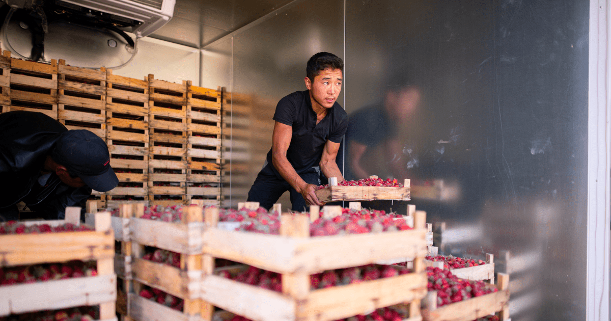 По 100 тысяч сомов на открытие бизнеса получат 2.8 тысячи малообеспеченных семей