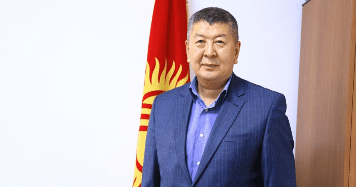 Новый замминистра энергетики имеет пять компаний, одна из них не платит налоги