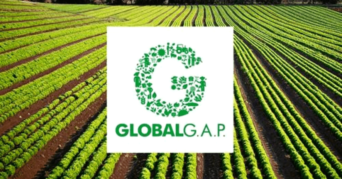 Замминистра сельского хозяйства не знает о GLOBALG.A.P. — депутат возмущен