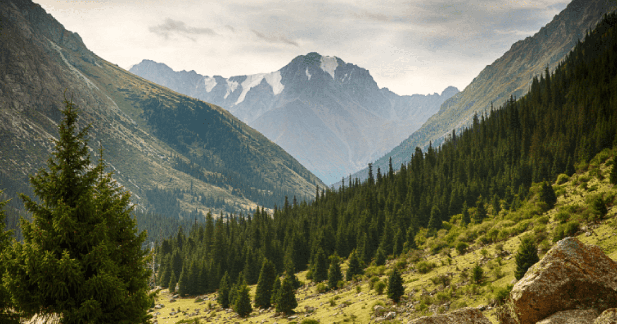 Минфин ответил Минприроды о выделенных на экологию средствах