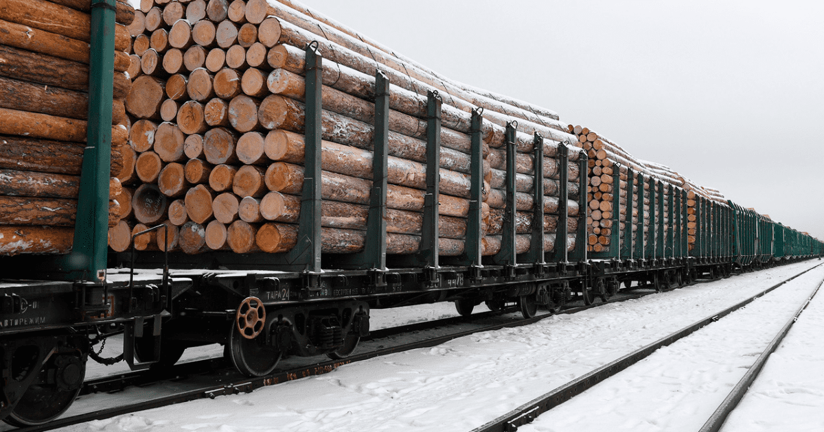 «Это, наверное, старые данные», — в администрации президента усомнились в актуальности информации о поставках белорусского леса из КР в Евросоюз