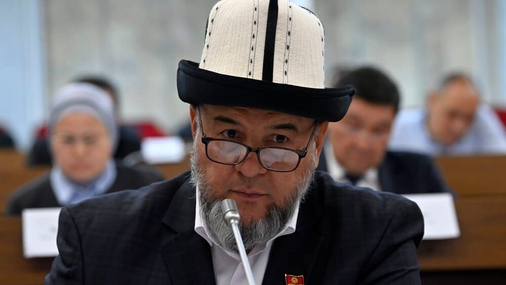 В парламенте вновь предлагают средства мигрантов направить на инвестирование