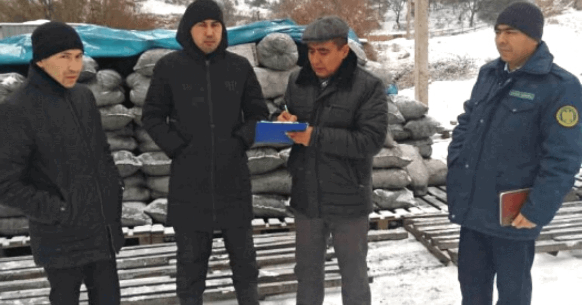 В Нарыне и Баткене провели мониторинг цен на уголь