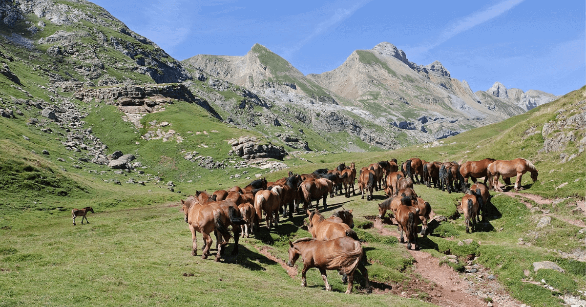 В 2022 году власти выдали фермерам более чем 2.7 млрд сомов льготных кредитов