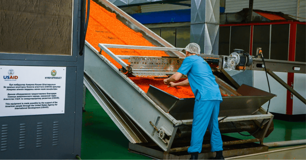 Экспортер плодоовощной продукции из Кыргызстана расширил производство и рынки сбыта при поддержке USAID