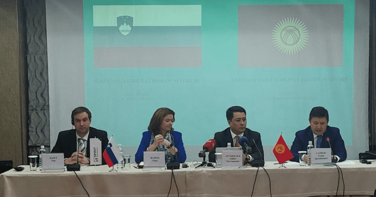 Словения готова участвовать в энергопроектах в Кыргызстане