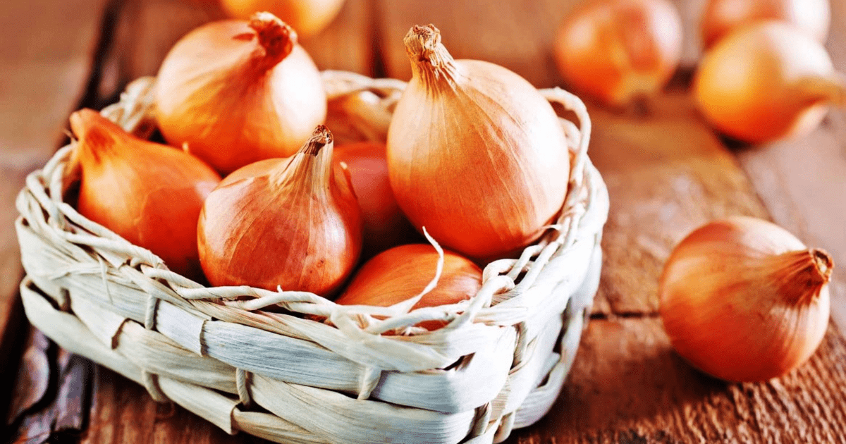 Минсельхоз предлагает снять запрет на экспорт лука — Его ввели меньше месяца назад