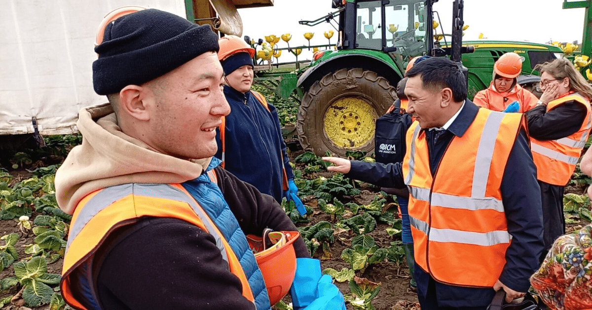 Агентства занятости Великобритании планируют увеличить квоты для кыргызстанцев