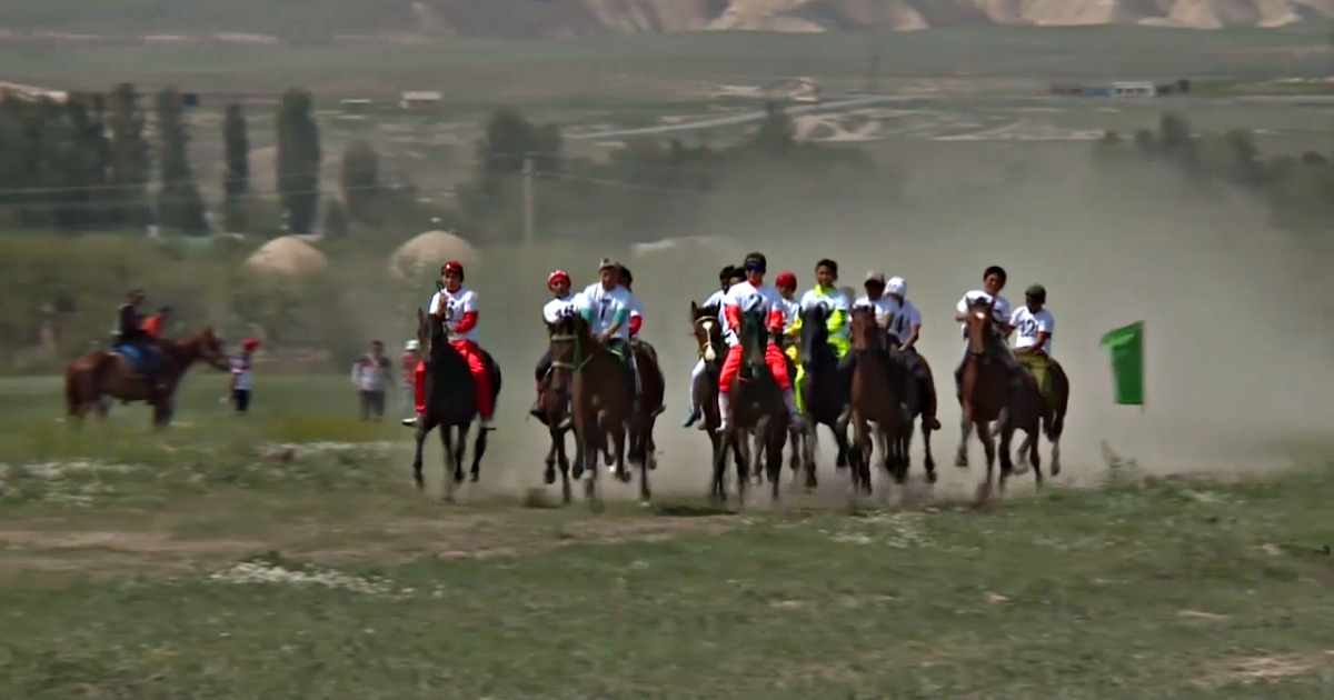 Беловодский ипподром вернули в собственность государства