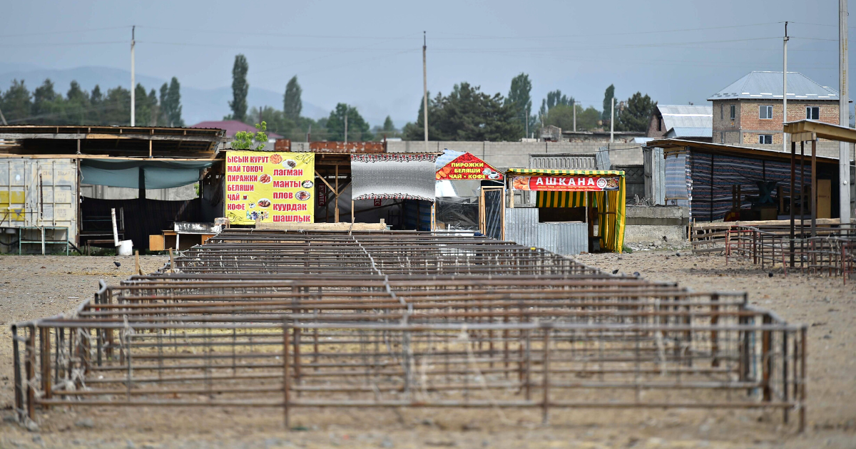 В Чуйской области построят крупный скотный рынок на 8 гектаров земли