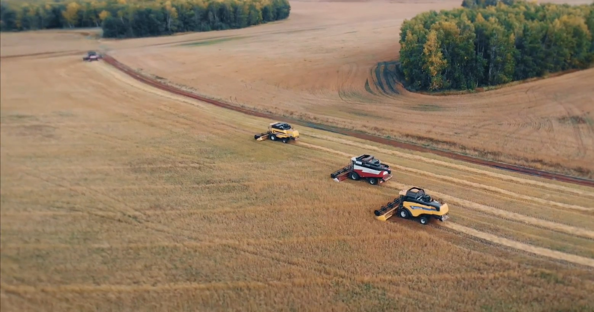 «Новосибирскхлебопродукт» откроет центральноазиатский офис в Бишкеке