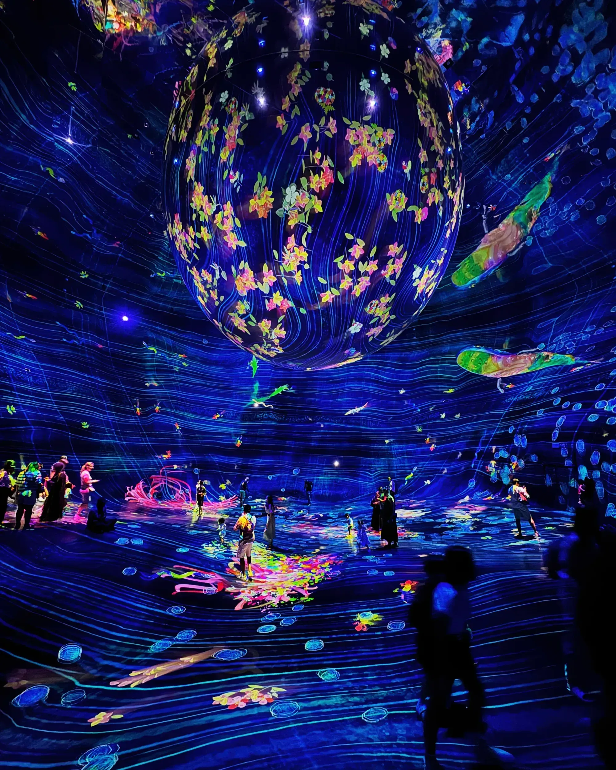 Были в Teamlab Phenomena в Абу-Даби