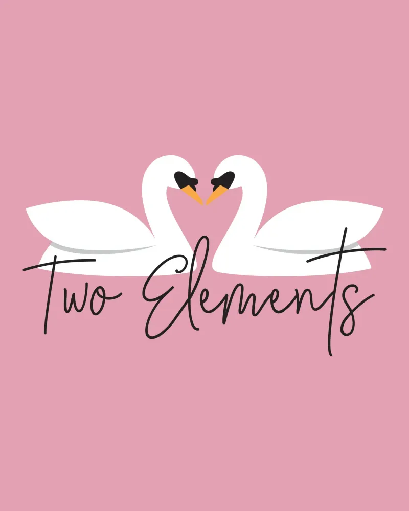 Сделал красивый брендинг для проекта жены и ее подруги Two Elements