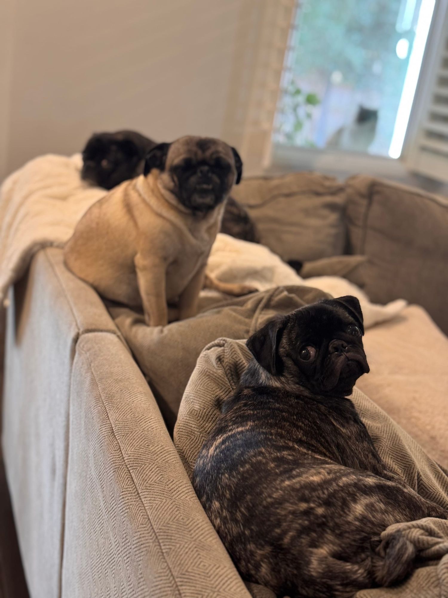 China has won, and so has Marxism Leninism