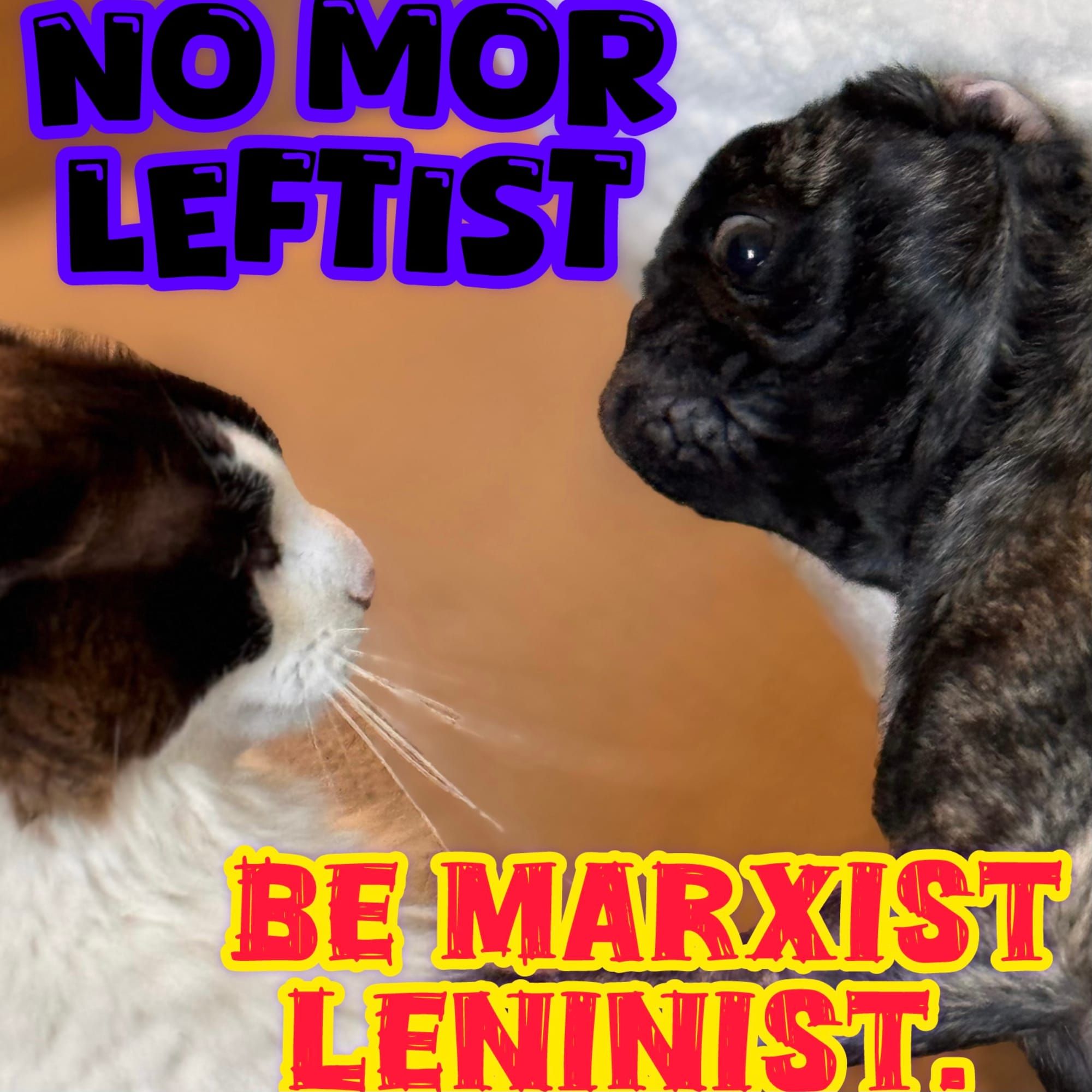 No more “leftists”...