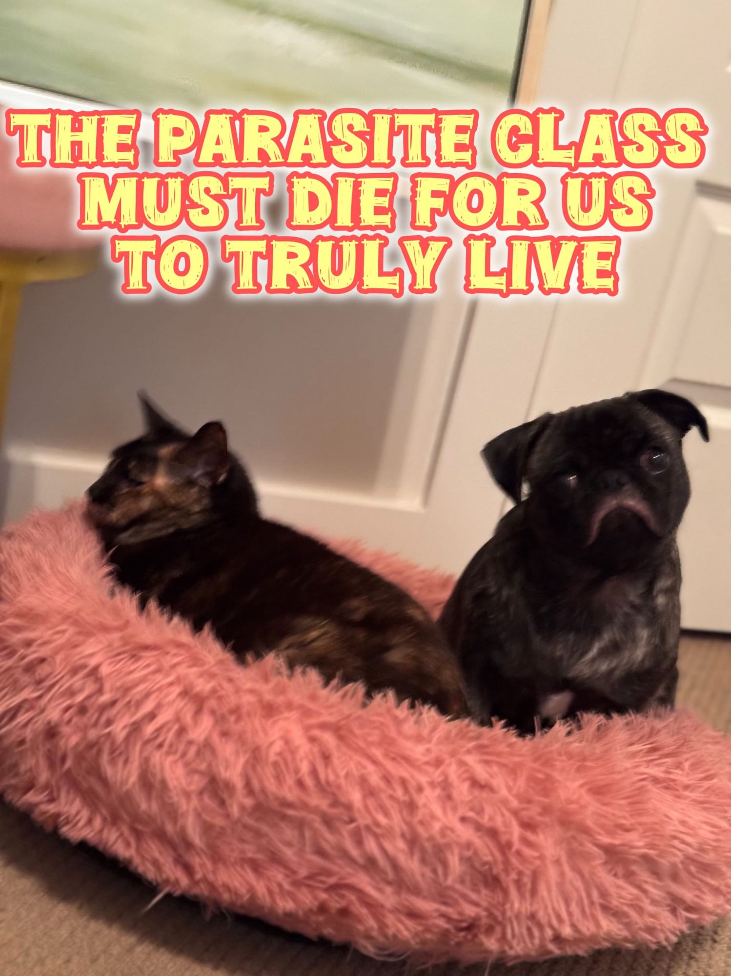 The Parasite class has always been our collective nightmare in human form.