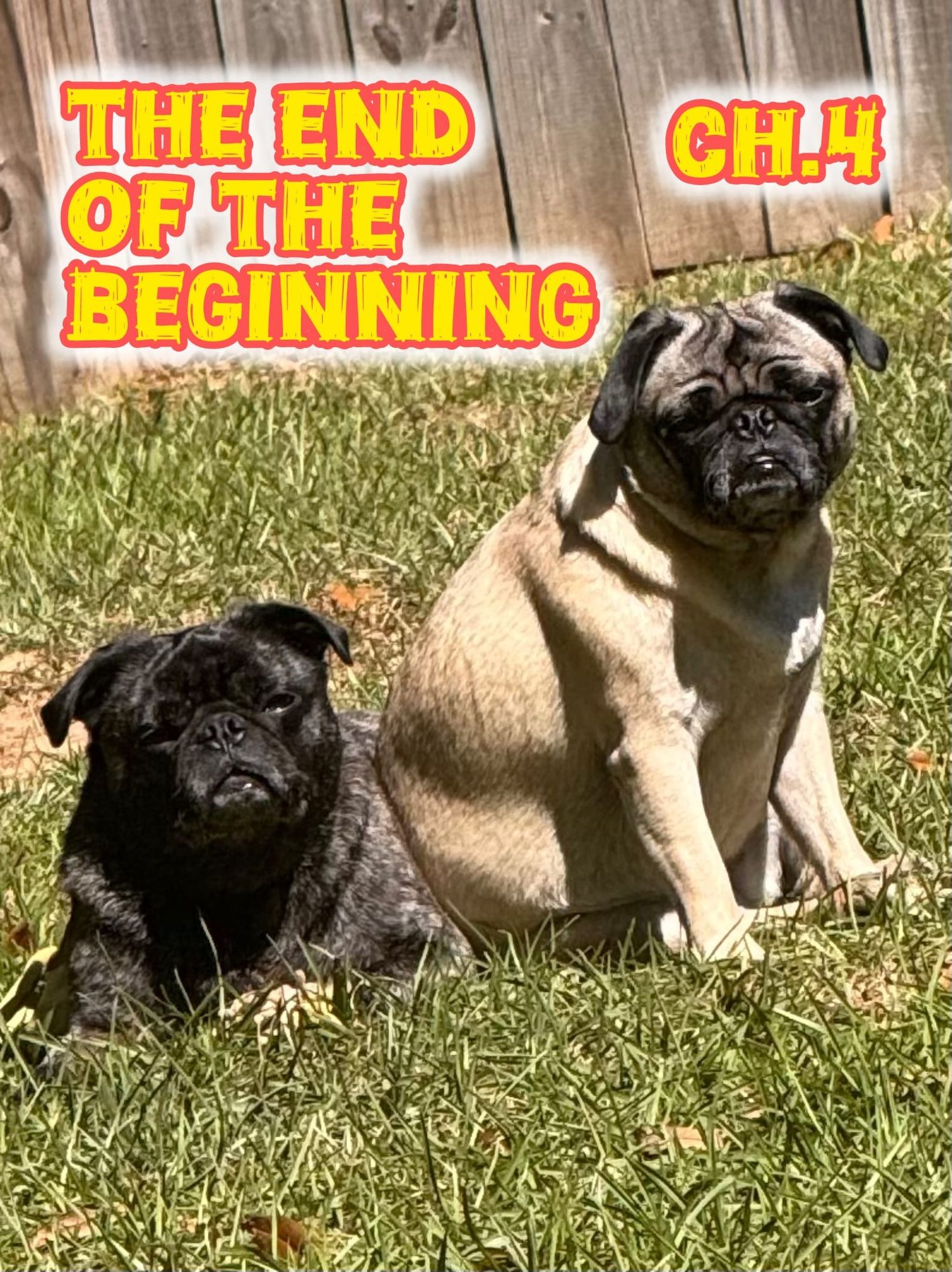 The End of the Beginning