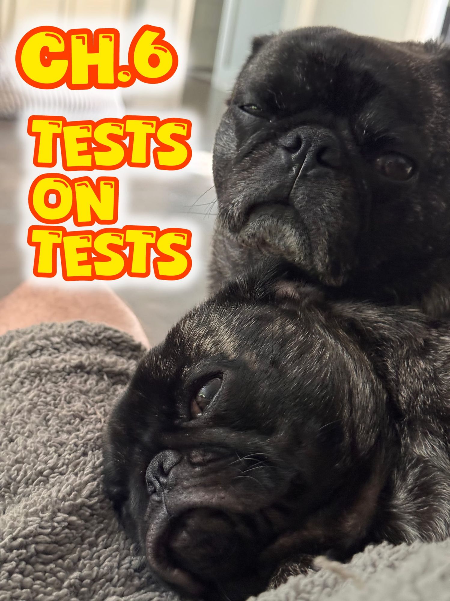 2 pugs laying down with the words ch 6 tests on tests