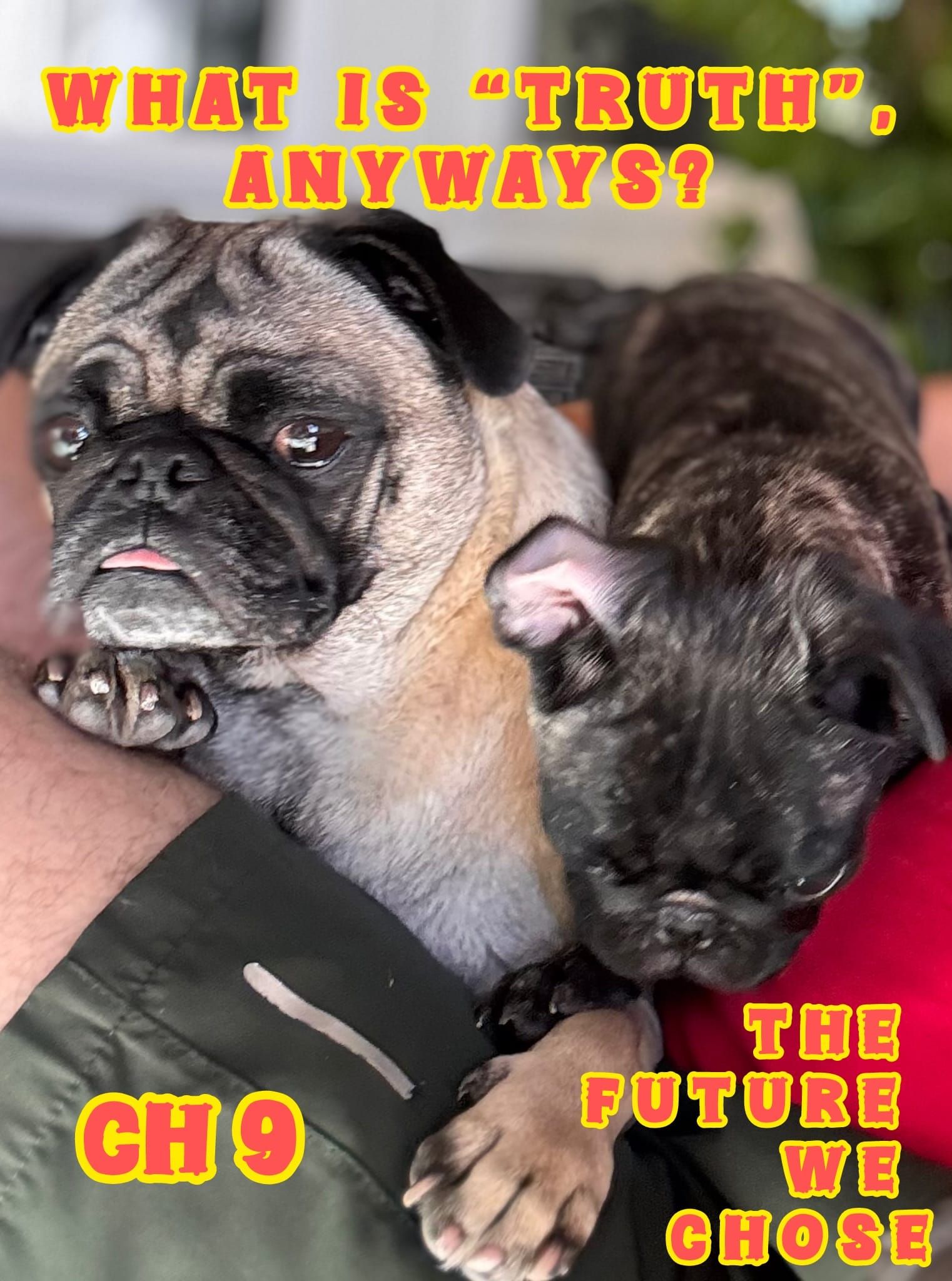 2 pugs sitting on a persons lap with the ords what is truth anyways ch 9 The future we chose on written on it. 
