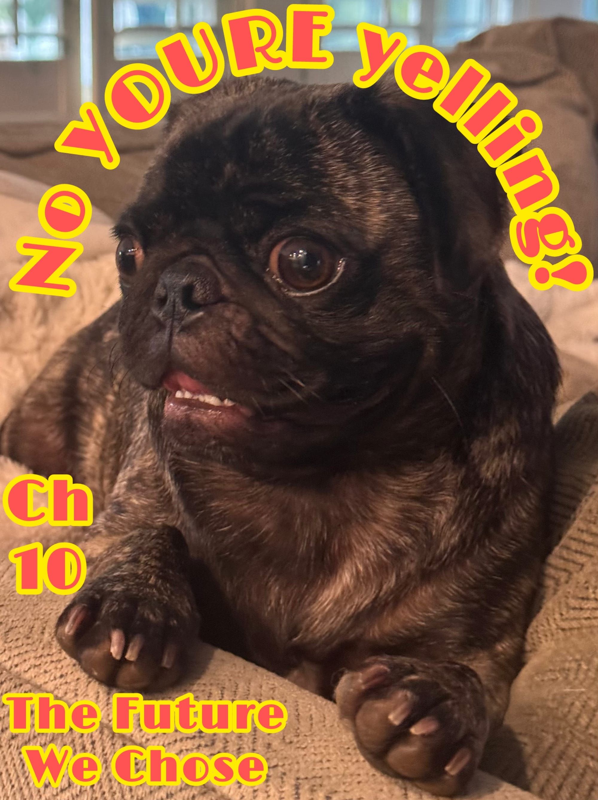 No YOURE yelling ch 10 the future we Chose written on a pic of a pug