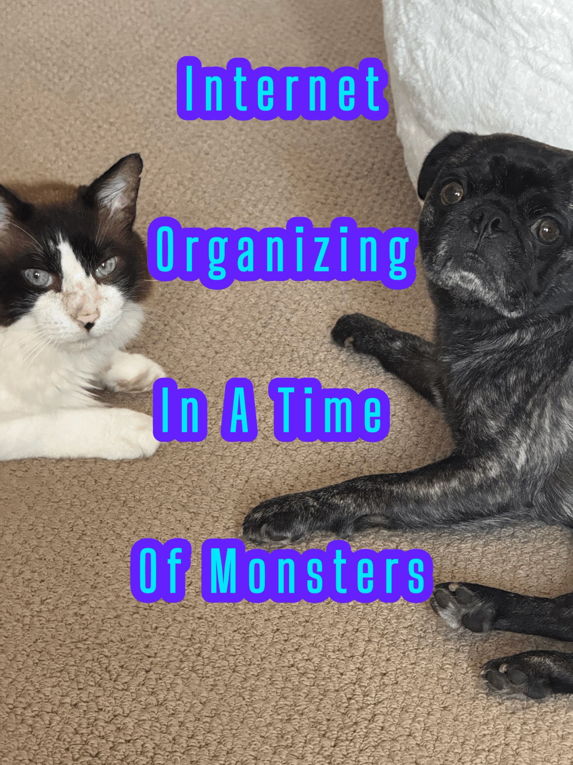 A Pug and a Cat laying on the floor with teh words Internet Organizing in the Time of Monsters.